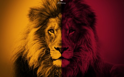 米兰电竞热评-切尔西女足联赛冠军在望