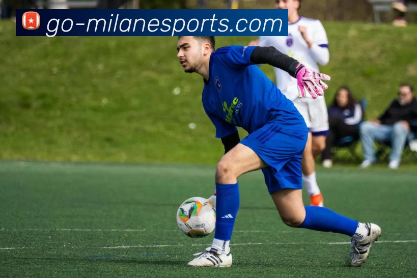 米兰电竞平台服务体系